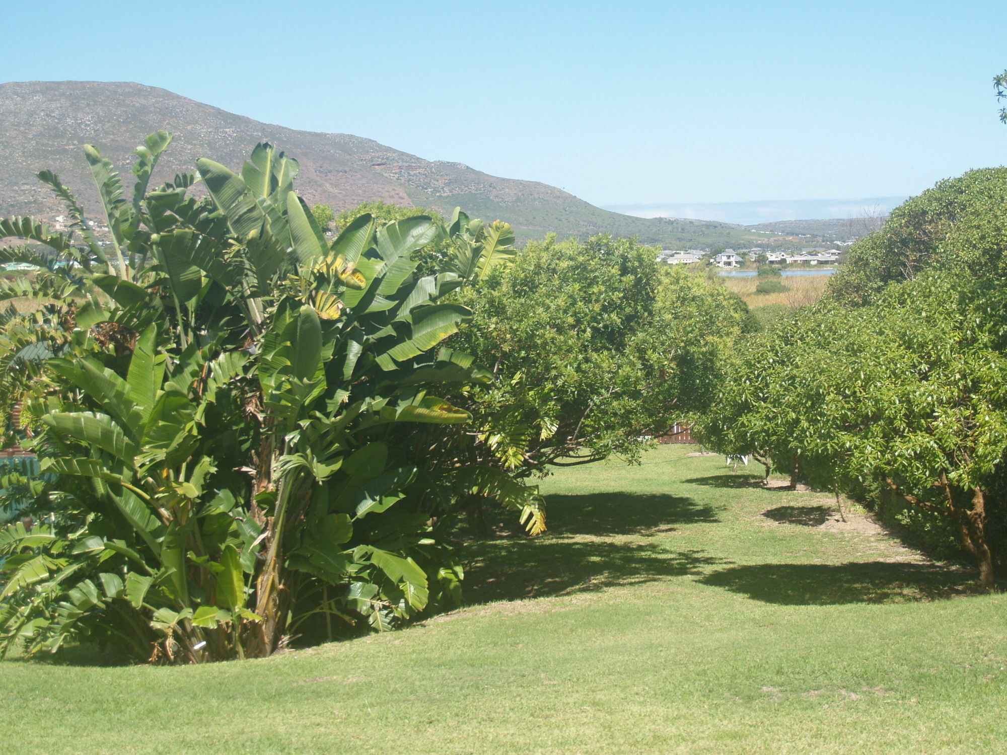 Horizon Cottages Noordhoek Luaran gambar