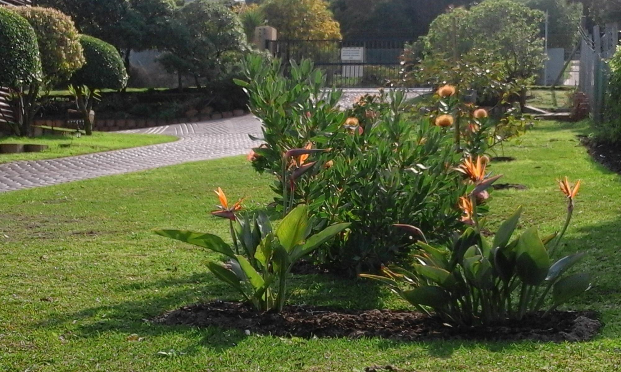 Horizon Cottages Noordhoek Luaran gambar